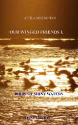 OUR WINGED FRIENDS I. book cover