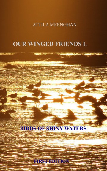 View OUR WINGED FRIENDS I. by ATTILA MEENGHAN