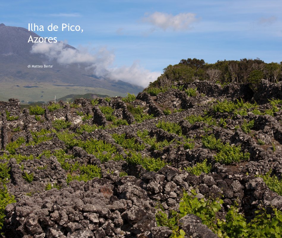 View Ilha de Pico, Azores by di Matteo Berte'
