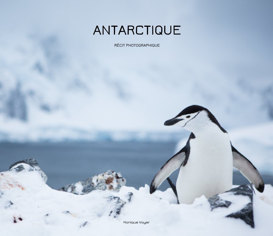 View Antarctique by Monique Voyer
