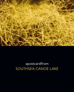 Southsea Canoe Lake book cover