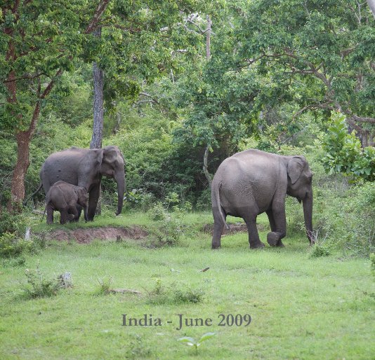 Ver India - June 2009 por Thomas Apfel