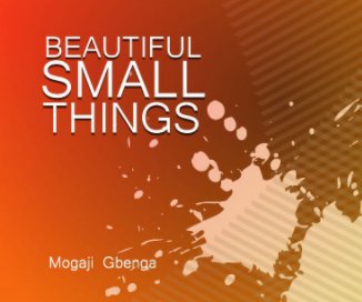 BEAUTIFUL SMALL THINGS book cover