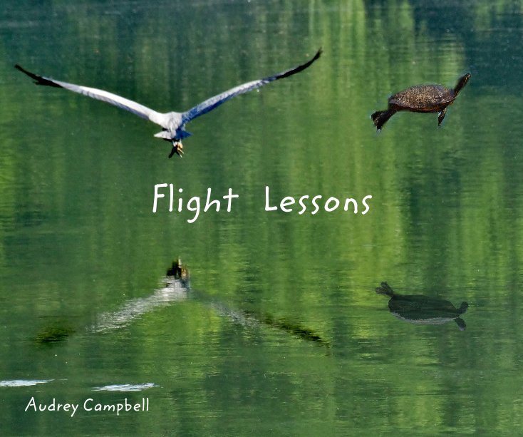 View Flight Lessons by Audrey Campbell