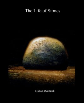 The Life of Stones book cover