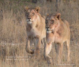 Londolozi Game Reserve book cover