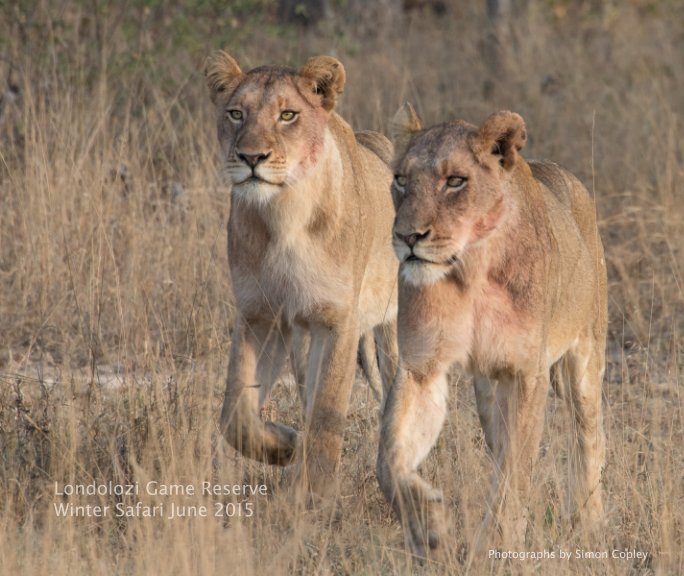Bekijk Londolozi Game Reserve op Simon Copley
