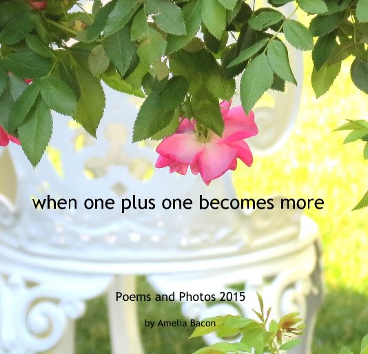 View when one plus one becomes more by Amelia Bacon