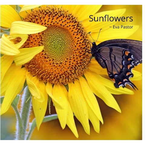 View Sunfowers by Eva Pastor