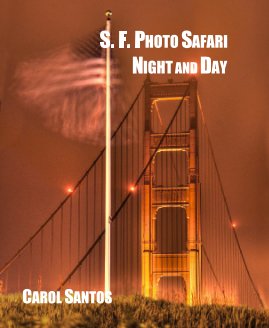 S. F. PHOTO SAFARI NIGHT AND DAY book cover