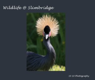 Wildlife Vol 2 - Slimbridge Wetland and Wildlife book cover