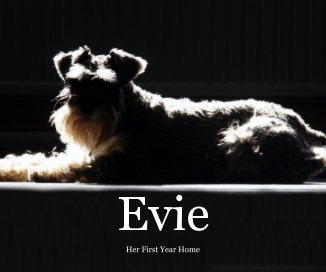 Evie book cover