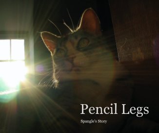 Pencil Legs book cover