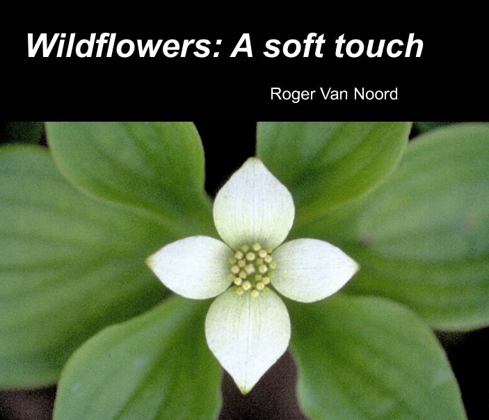 Ver Wildflowers: por Roger Van Noord