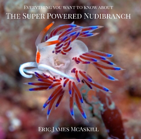 Bekijk Everything you want to know about the super powered nudibranch. op Eric James McAskill