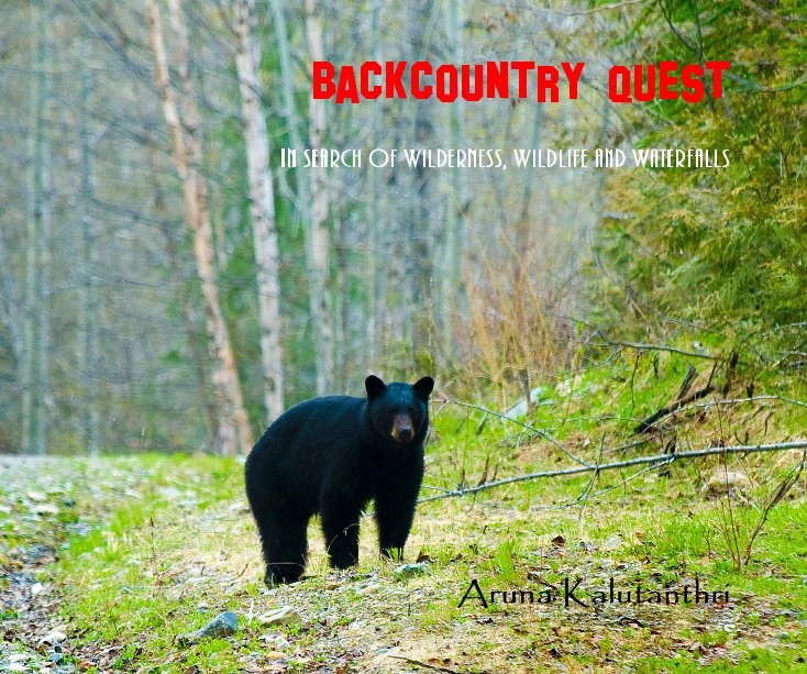 View Backcountry Quest by Aruna Kalutanthri