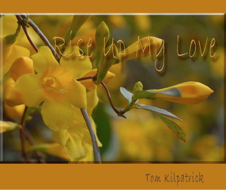 View Rise Up My Love by Tom Kilpatrick