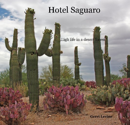 View Hotel Saguaro by Gerri Levine