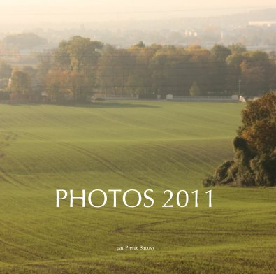 Photos 2011 book cover