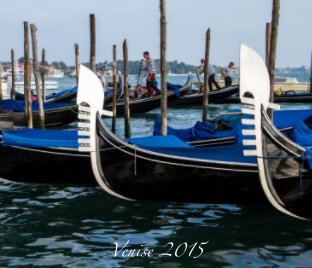 Venise 2015 book cover