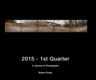2015 - 1st Quarter book cover