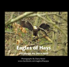 Eagles of Hays                                     Pittsburgh, Pa. 2013-2015 book cover