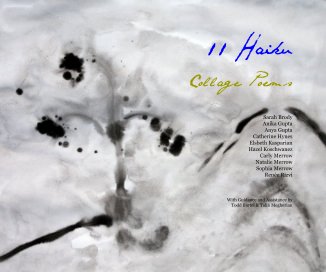 11 Haiku book cover