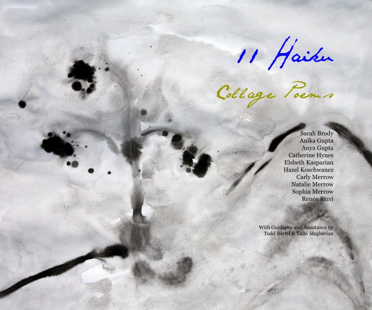 Visualizza 11 Haiku di Brody Gupta Gupta Hynes Kasparian Koschwanez Merrow  Rizvi