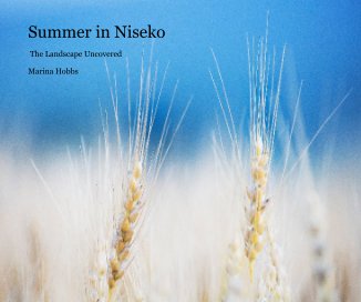 Summer in Niseko book cover