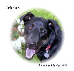 Solomon book cover