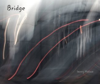 Bridge book cover