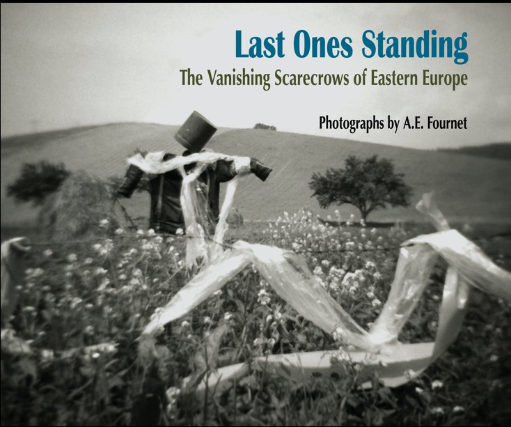 View Last Ones Standing by A. E. Fournet