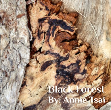 Black Forest book cover