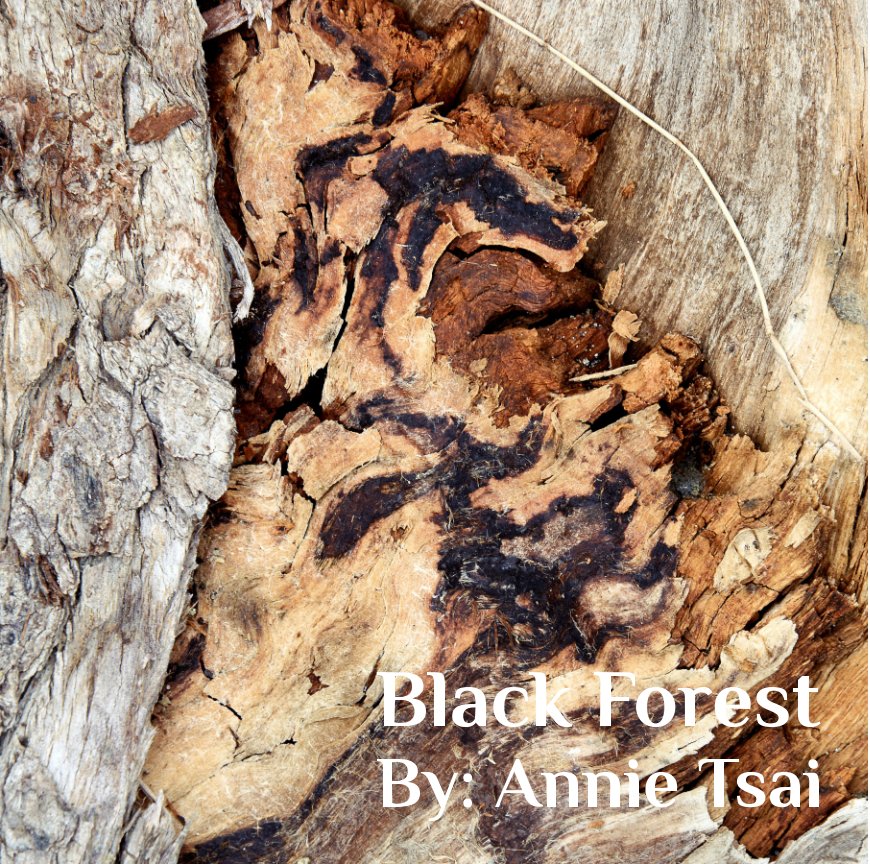 Ver Black Forest por Annie Tsai