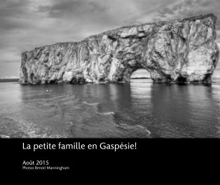 La petite famille en Gaspésie! book cover