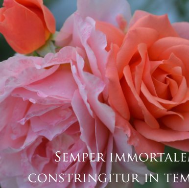 Semper Immortalem book cover
