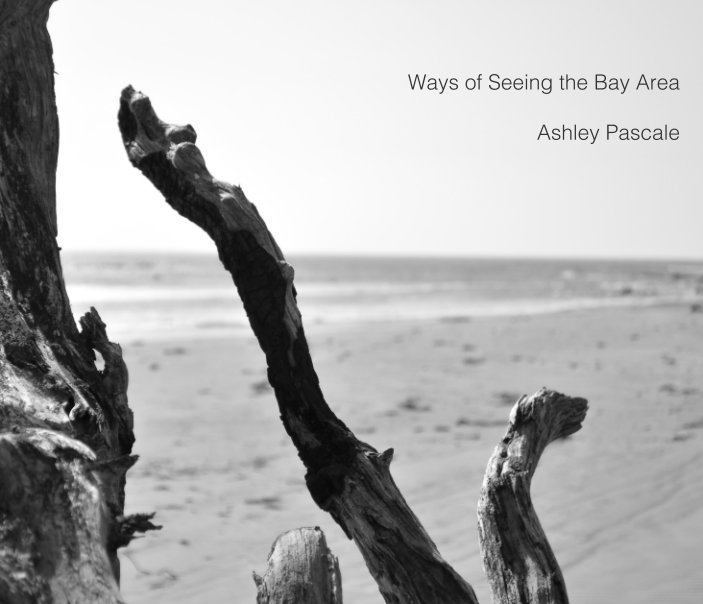 View Ways of Seeing the Bay Area by Ashley Pascale