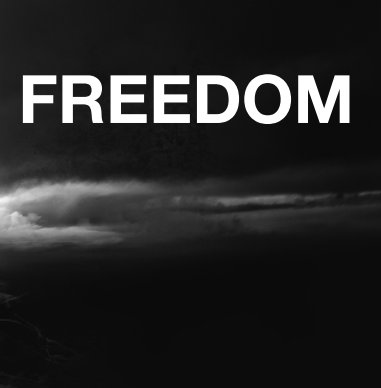 FREEDOM [book one] book cover