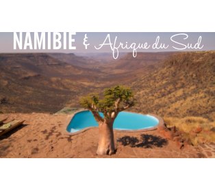 Namibie - Afrique du Sud book cover