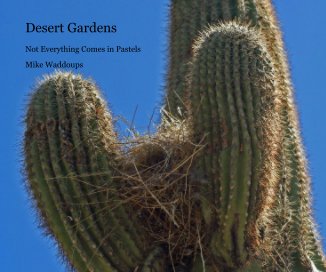 Desert Gardens book cover