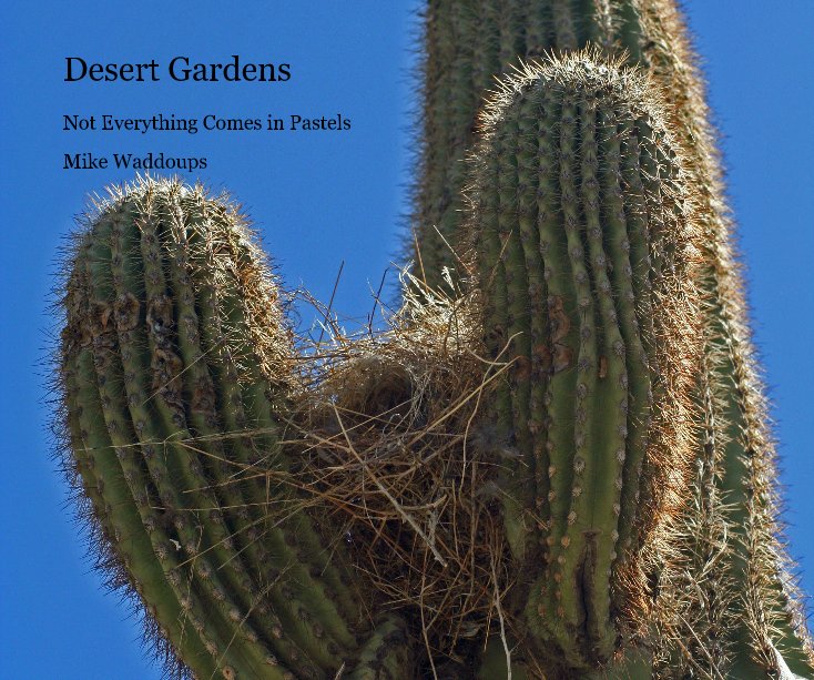 View Desert Gardens by Mike Waddoups