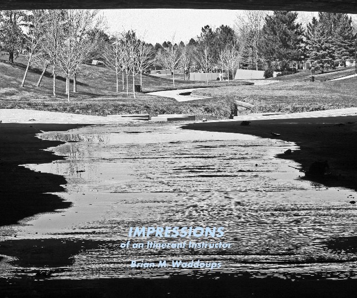 View IMPRESSIONS of an Itinerant Instructor Brian M. Waddoups by Brian M. Waddoups