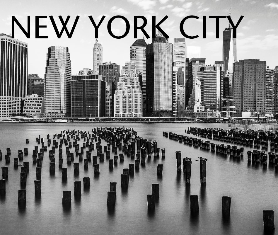 Visualizza New York City di Michael Brochstein