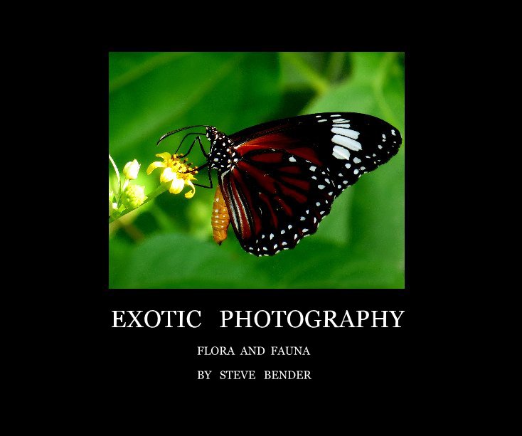 View EXOTIC PHOTOGRAPHY by STEVE BENDER