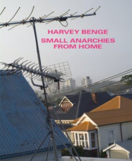SMALL ANARCHIES FROM HOME book cover
