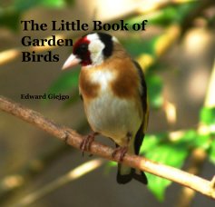 The Little Book of Garden Birds book cover