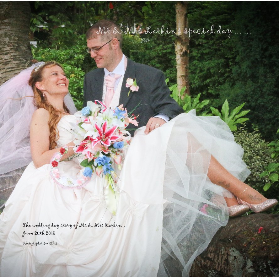Visualizza Mr & Mrs Larkin's special day ... ... di Photographer Sue Ellis