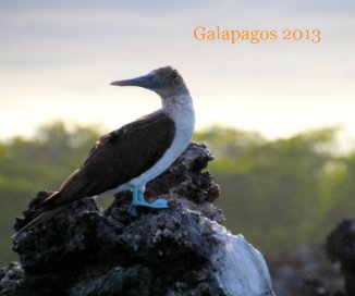 Galapagos 2013 book cover