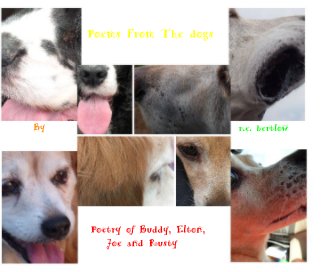 Poems From The dogs book cover