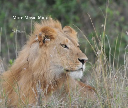 More Masai Mara.... book cover
